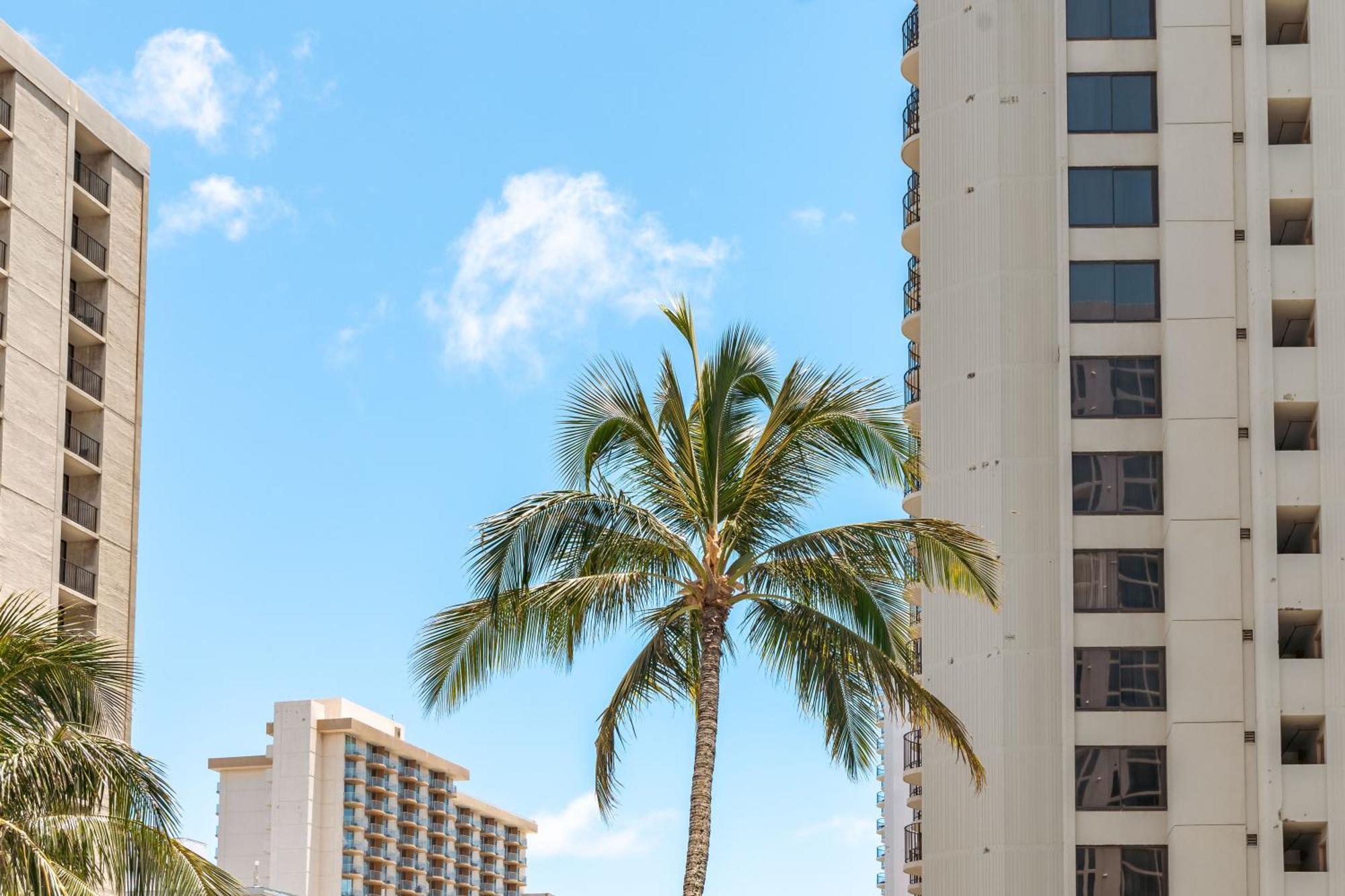 Upscale Penthouse With Ocean Views - Free Parking Apartment Honolulu Exterior photo
